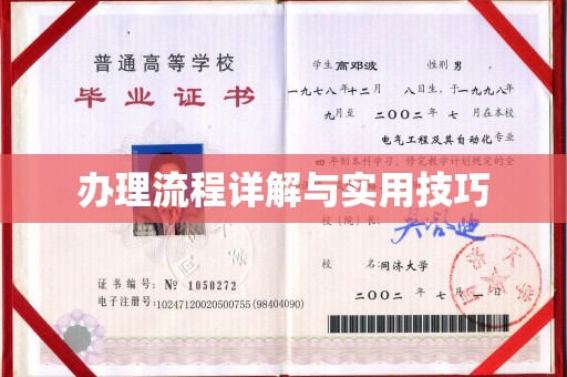 察布查尔锡伯办理流程详解与实用技巧