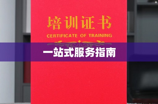 察布查尔锡伯一站式服务指南
