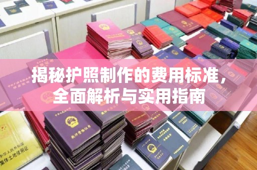 察布查尔锡伯揭秘护照制作的费用标准，全面解析与实用指南