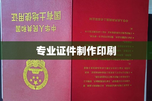 察布查尔锡伯专业证件制作印刷